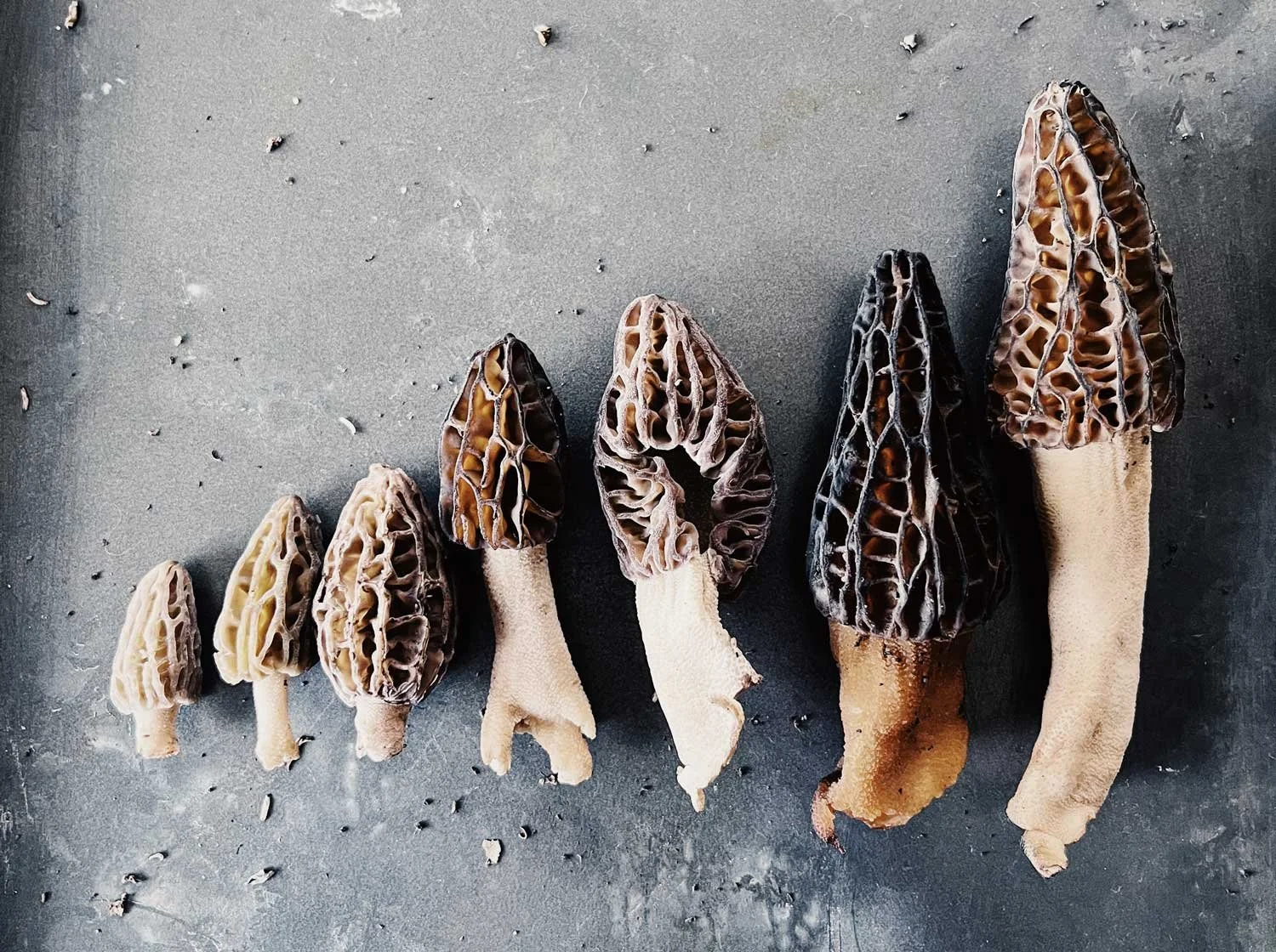 equality isn’t optional