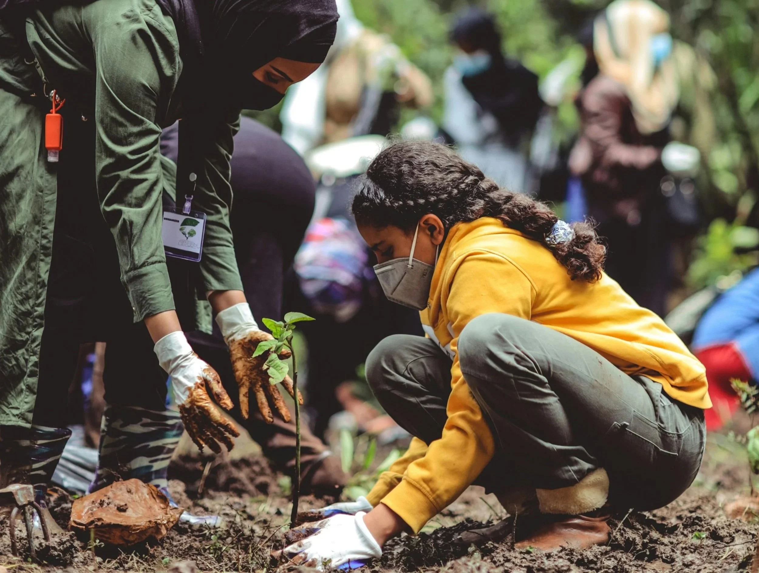 THE RISE OF ECO-TOURISM AND REGENERATIVE TOURISM: A Paradigm Shift in Travel