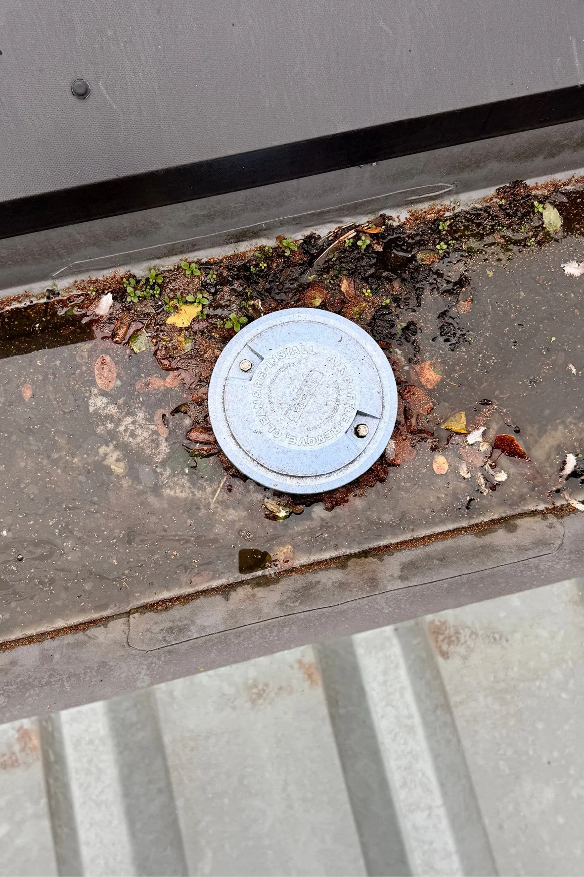 2025 Omnicleans_gutter cleaning3.jpg