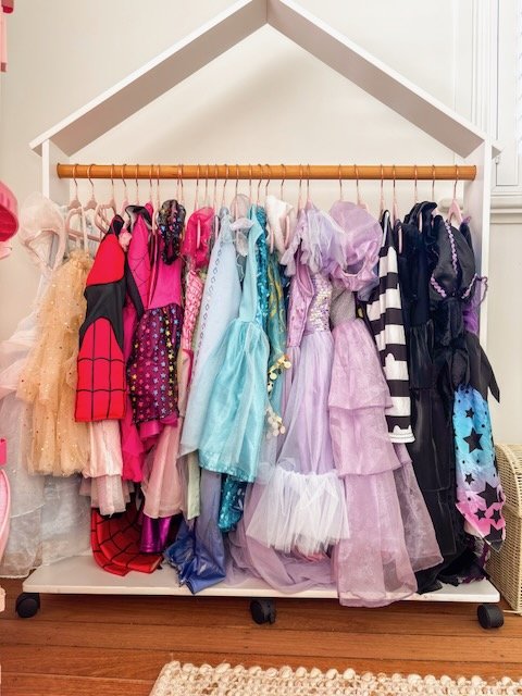 PLAYROOM ORGANISATION