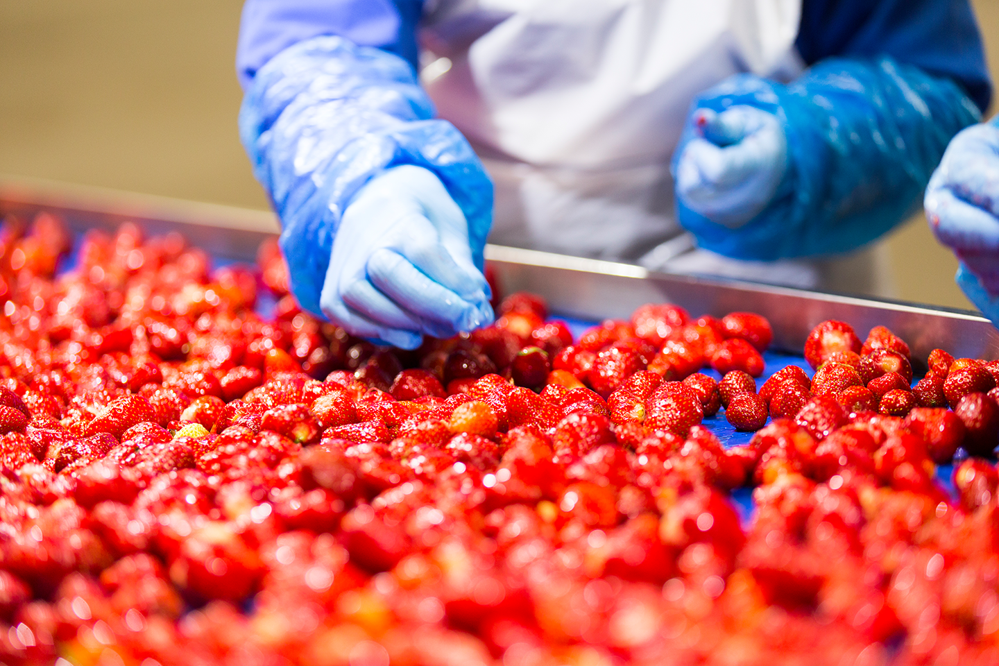 Jordbær IQF indfrosset hos Orskov Foods