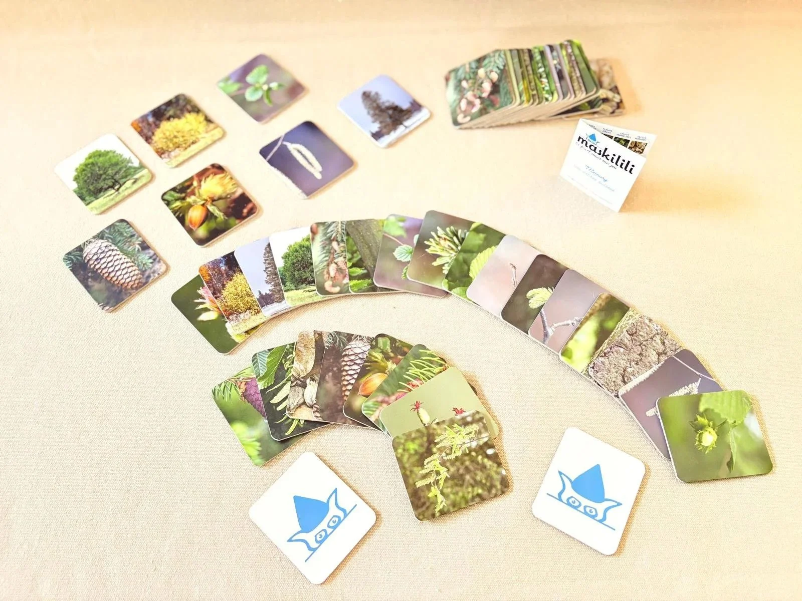 Memory — cycle d’arbres suisses