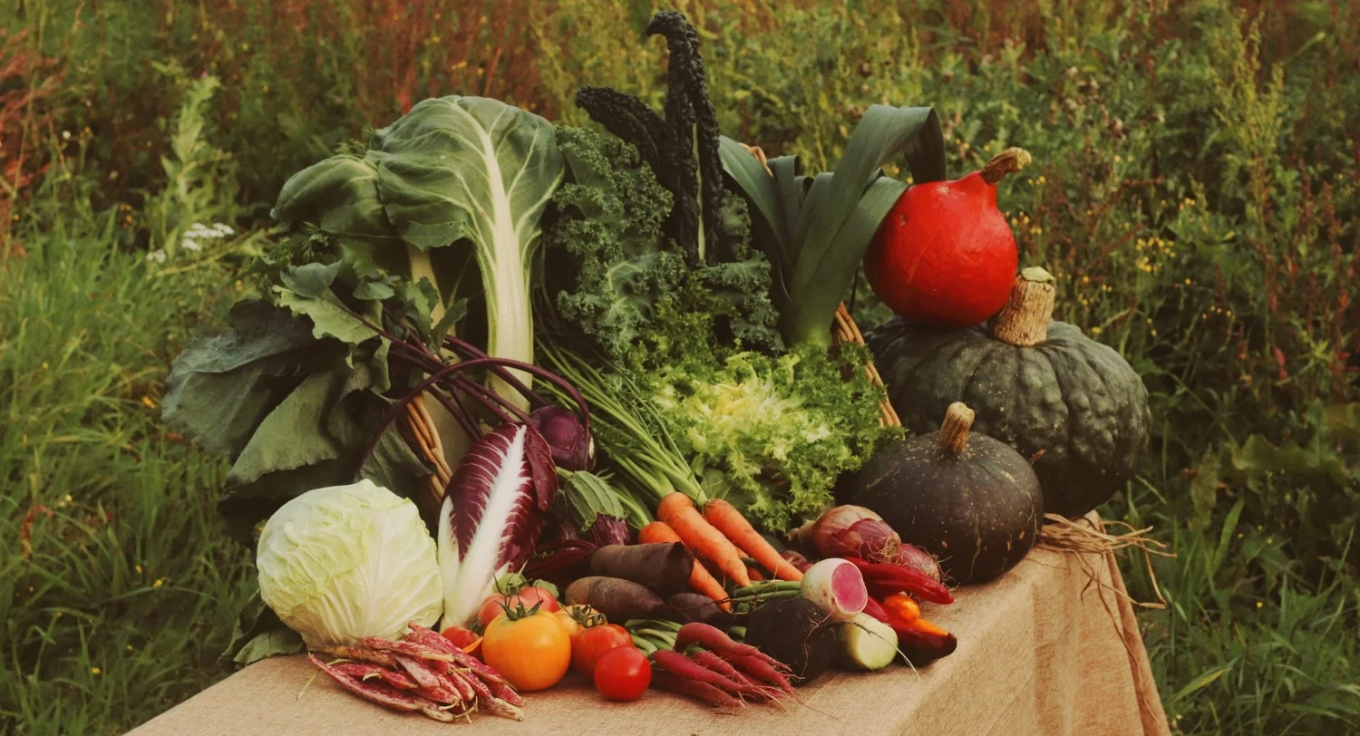 WEEKLY VEGETABLE BOXES DELIVERED TO YOUR DOOR — Frensham Market Farm