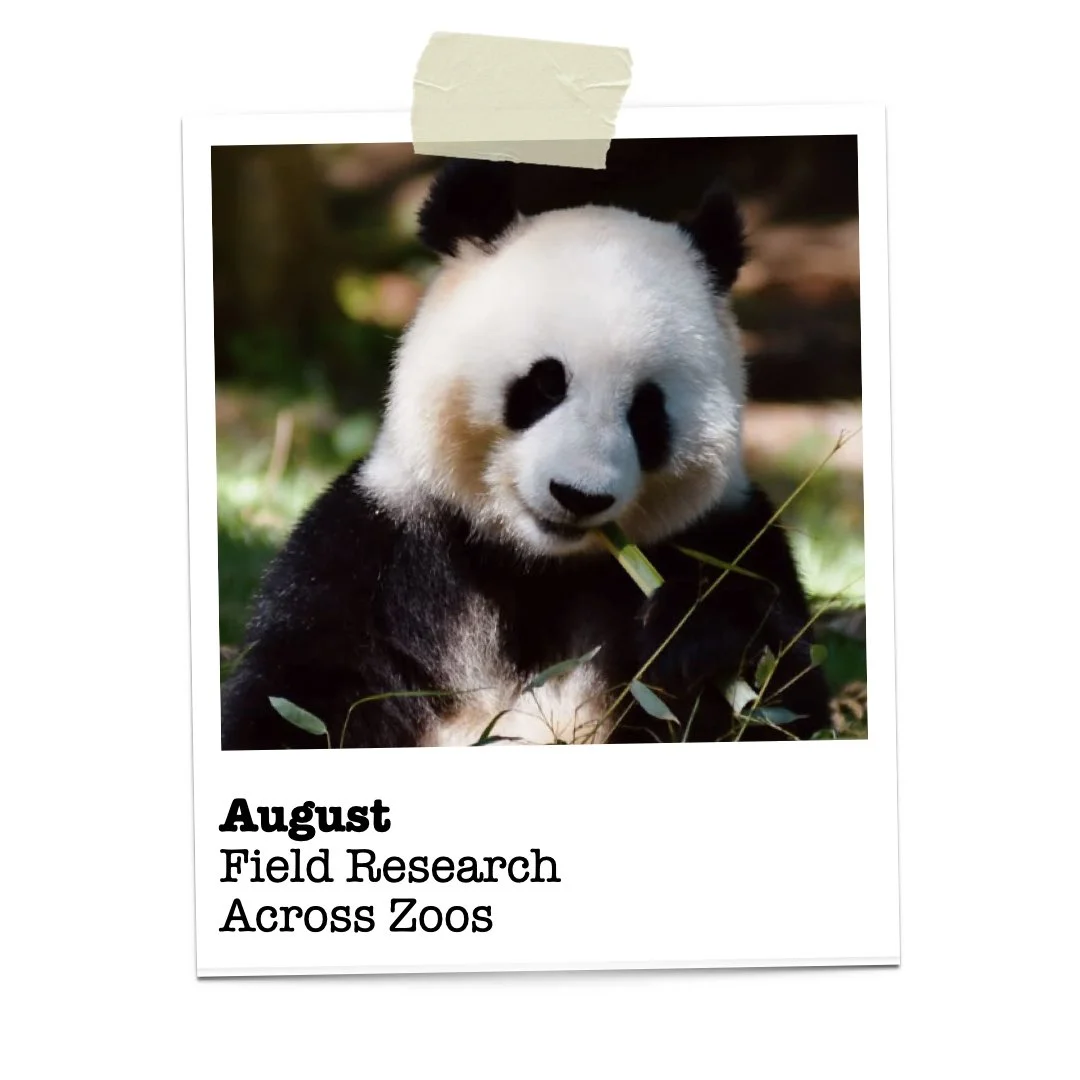 Visiting more than 10 zoos in August across states strengthened my understanding of space, storytelling, and animal-centered design.
Thank you to the institutions and people who inspired these observations.