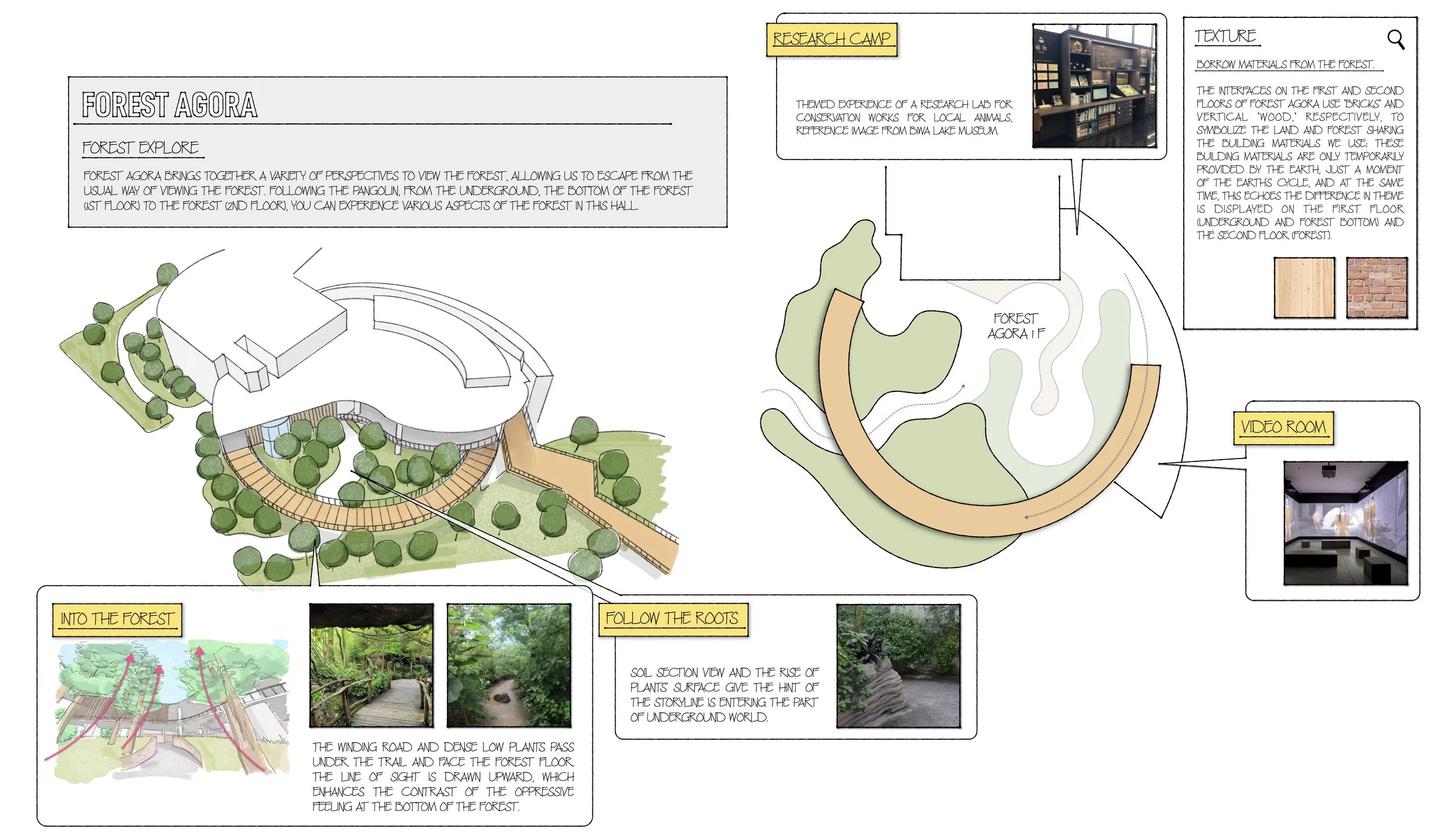 SD 2 Foothills & Forest En vr for Web.002.jpeg