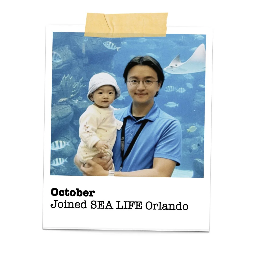 Joining SEA LIFE Orlando allowed me to work directly in education and guest engagement at the exhibit level.
Thank you to the team for the warm welcome and trust.