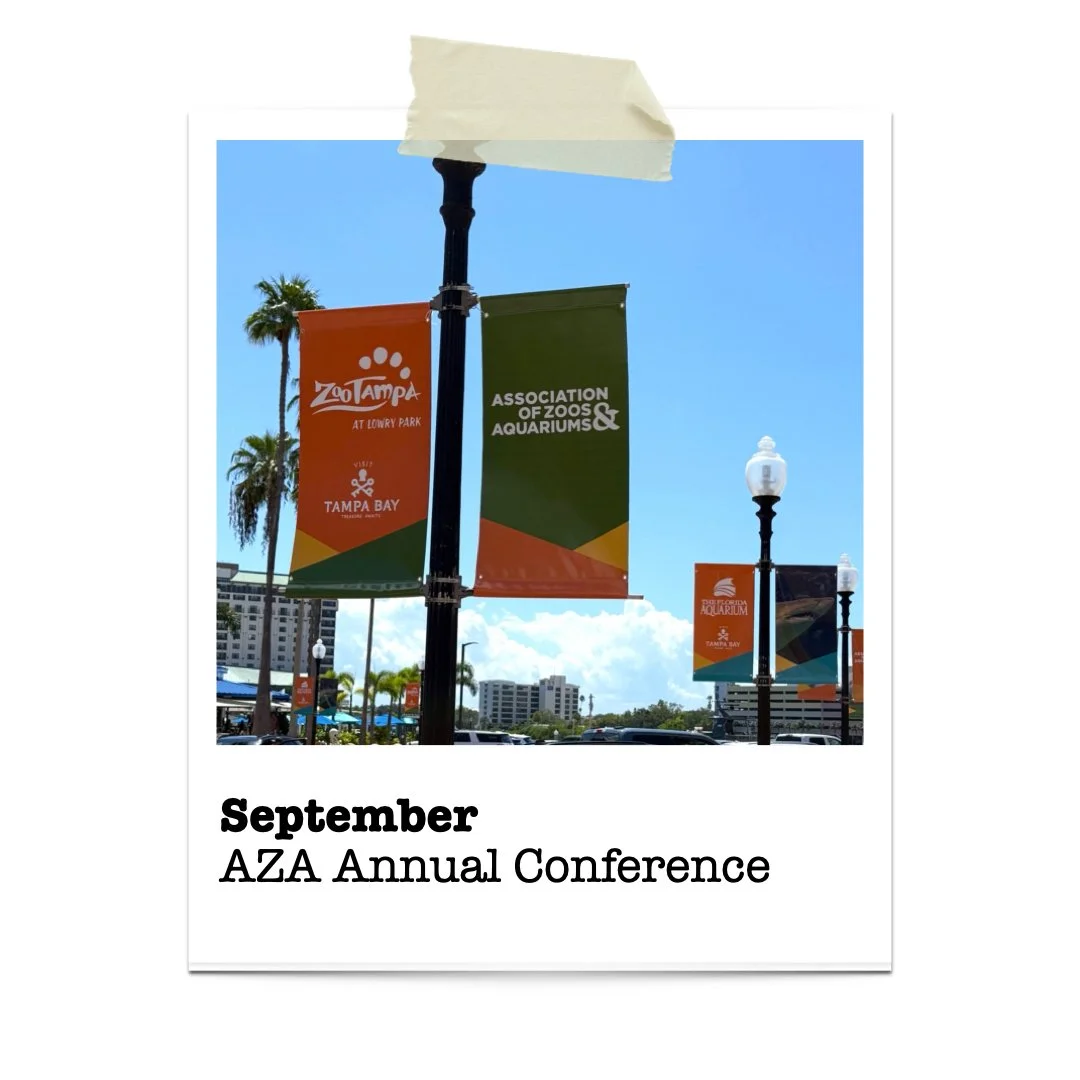 The AZA Conference offered meaningful conversations across disciplines within the zoo and aquarium community.
Thank you to everyone who took the time to connect and share.