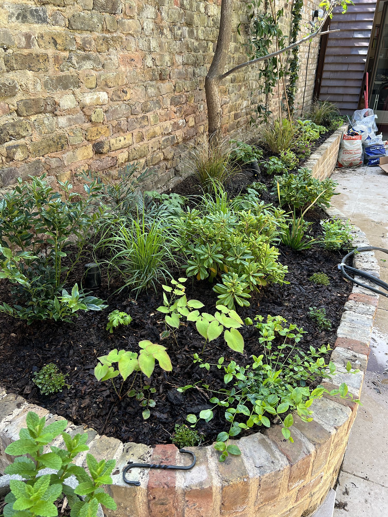 HannahStantonGardenstudio3.jpg