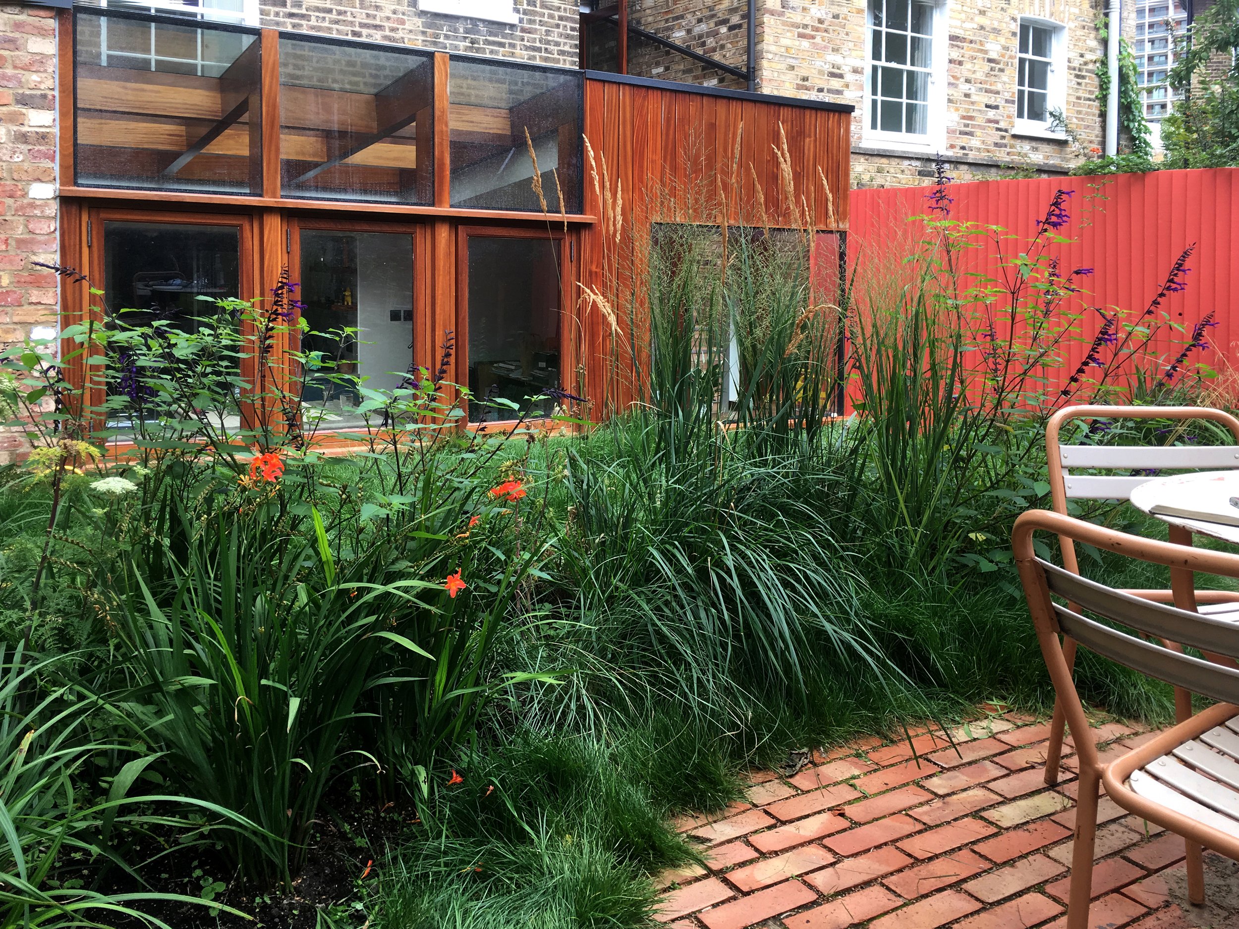 Looking back towards the new extension by Office Sian Architects through grasses in the Dalston garden, Hannah Stanton Garden and Landscape Design, Hackney, East London