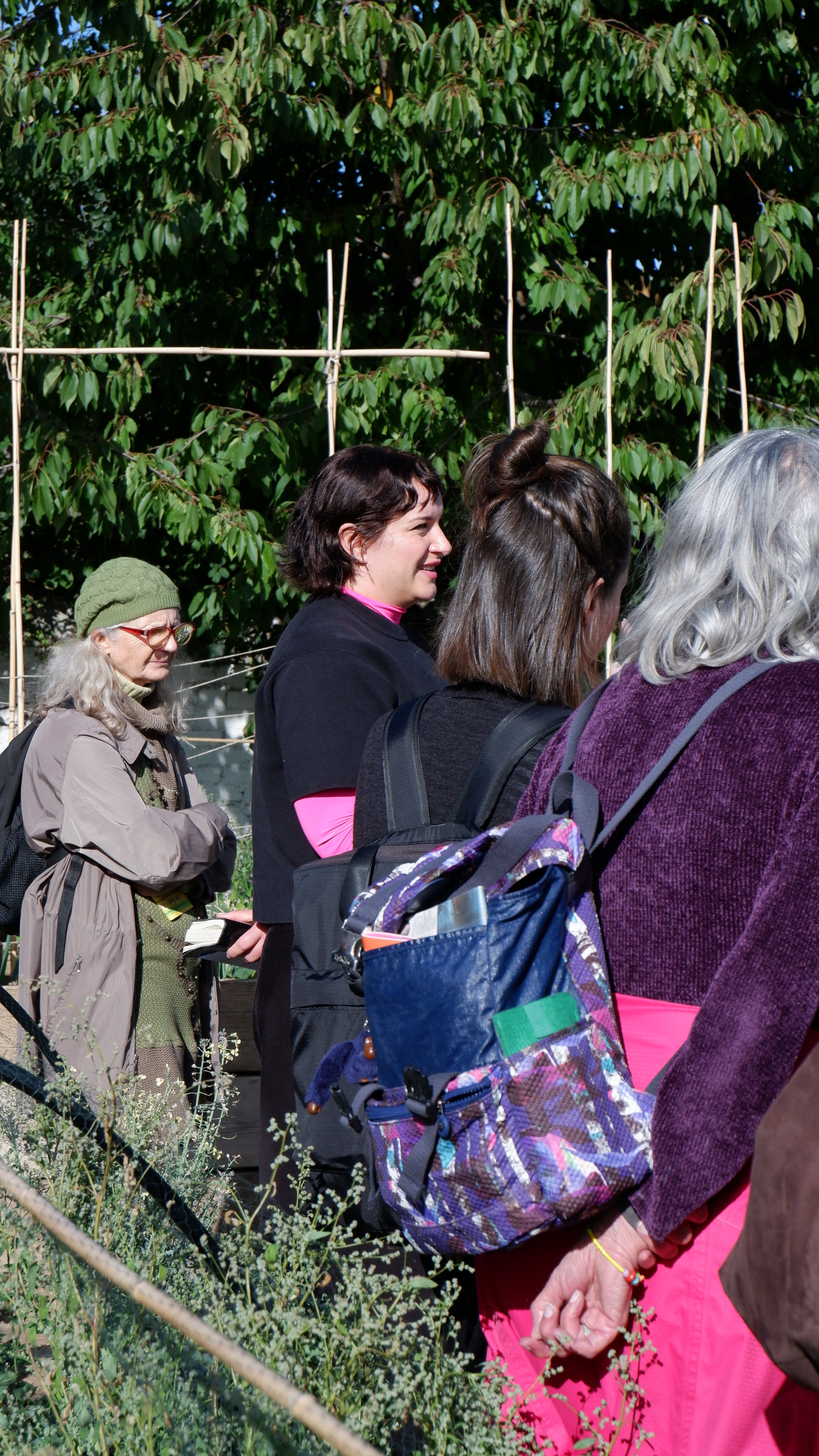 DSCF1173.JPG