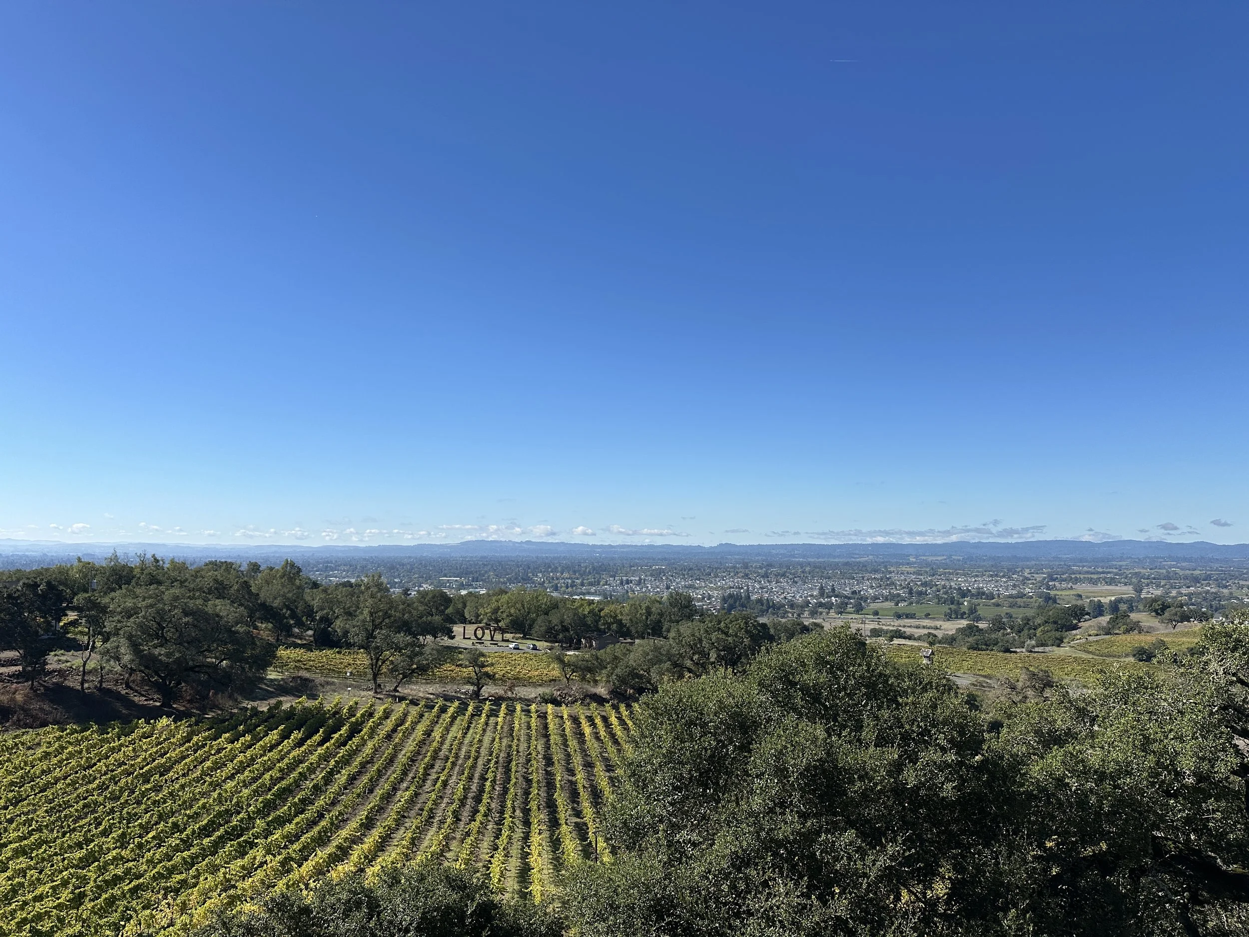 Complete Guide to a Paradise Ridge Winery Celebration of Life in Santa Rosa