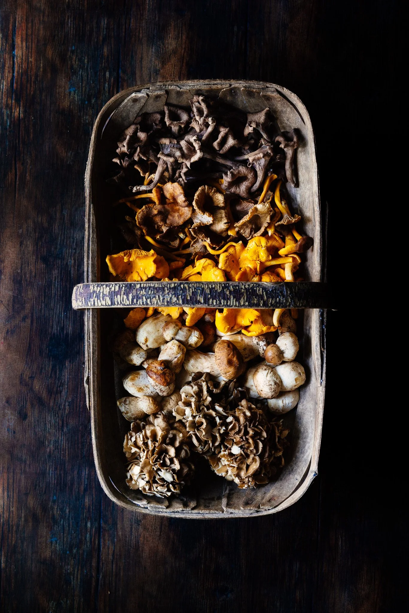 Basket of mixed wild mushrooms photographed for UK luxury food brand Fien & Wild 