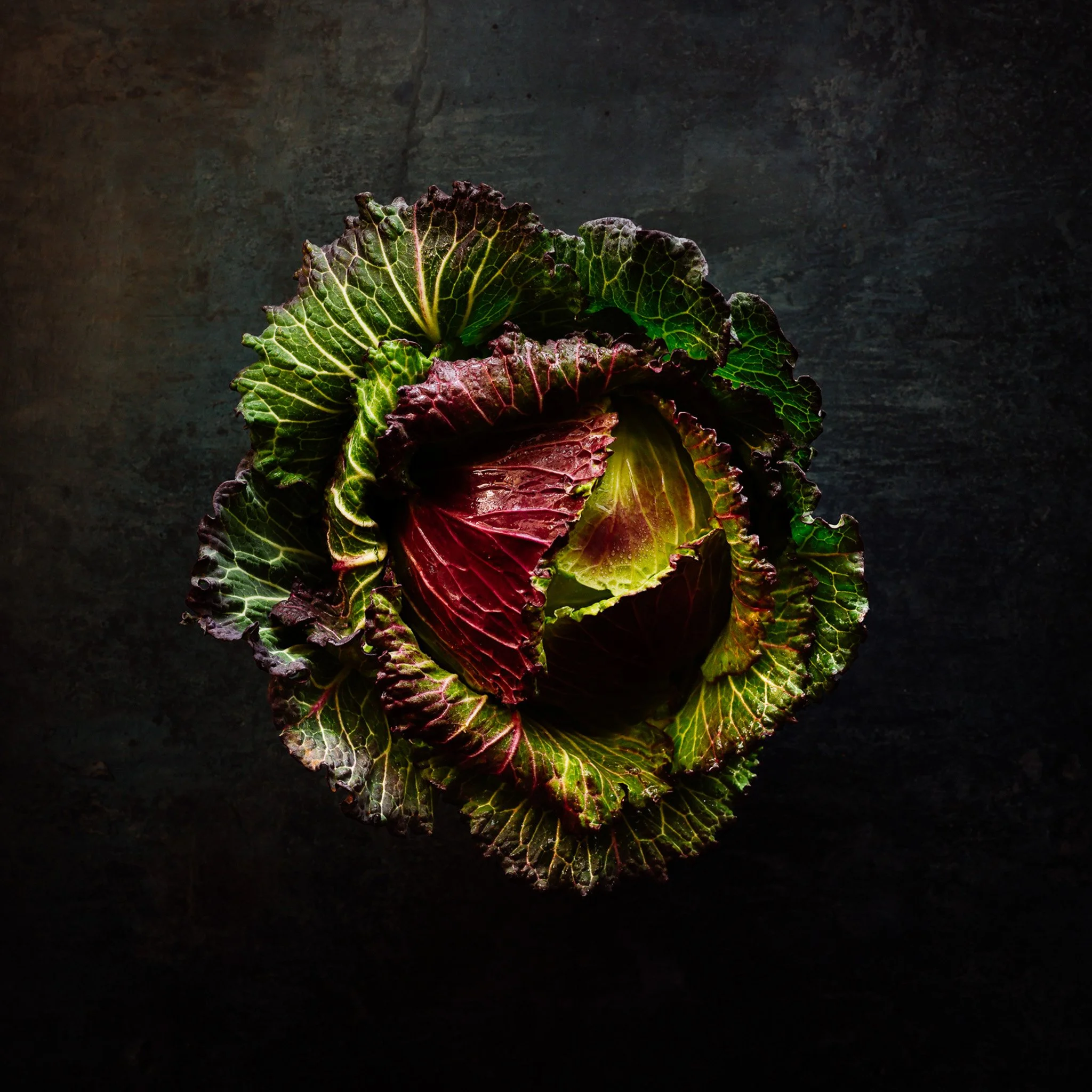 January King cabbage product & lifestyle photography for luxury UK food brand Fine & Wild