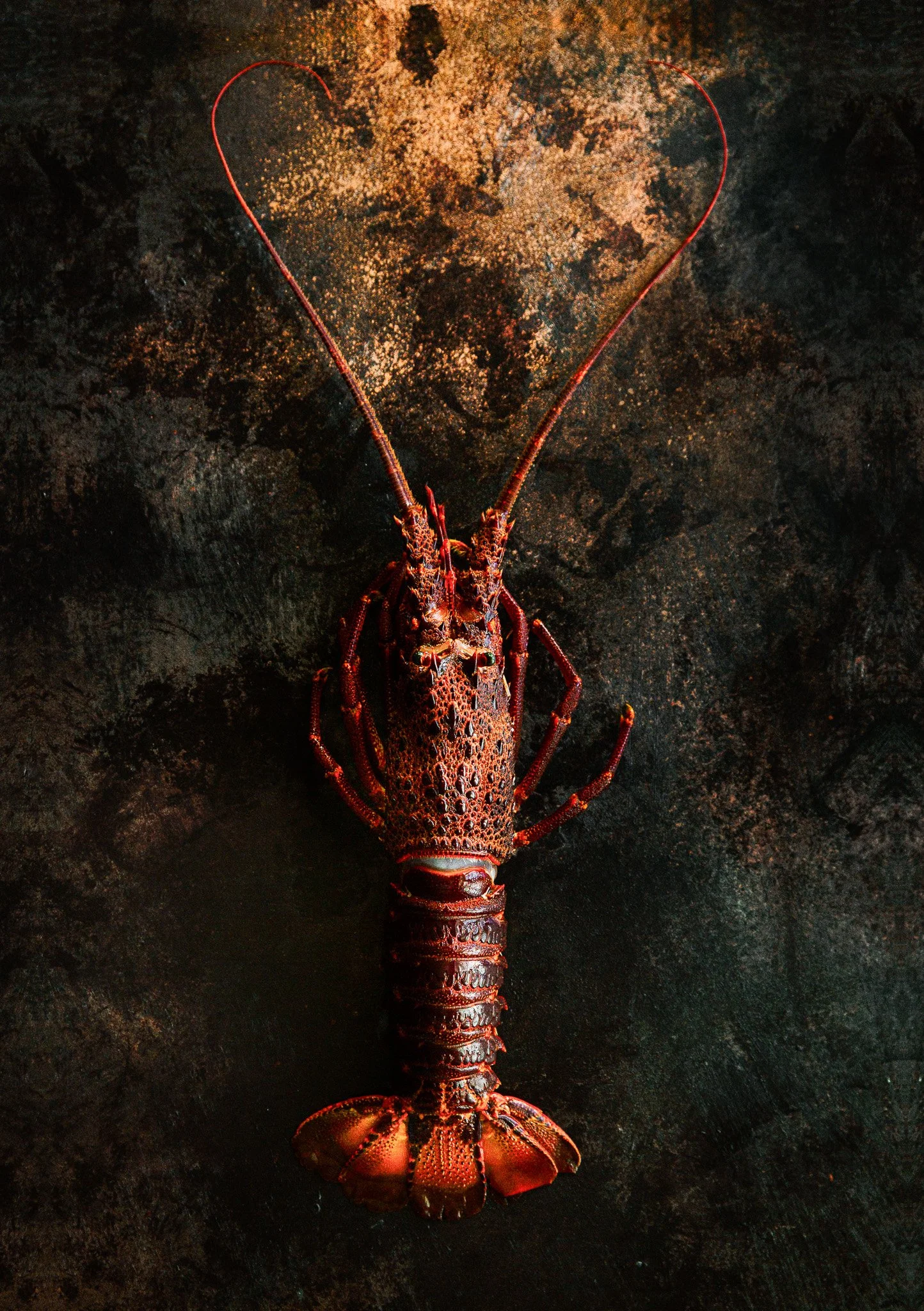 Tristan da Cunha Lobster styled and photographed by Louise Robinson, Cygnet Kitchen
