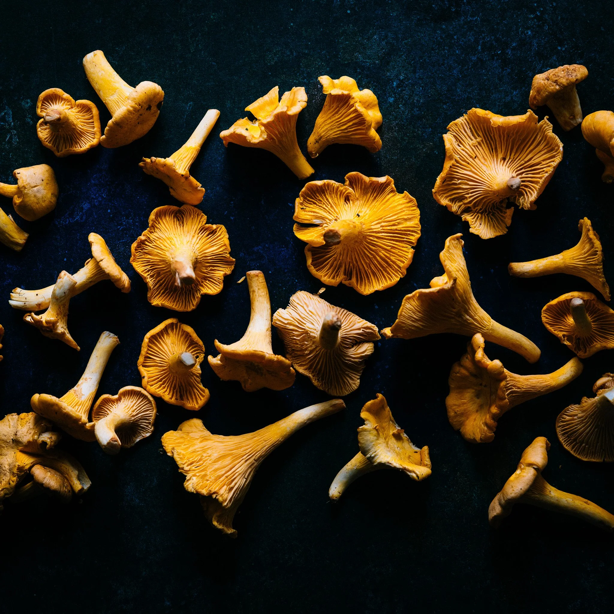 Chanterelle mushrooms lifestyle image by Louise Robinson for UK brand Fine & Wild 