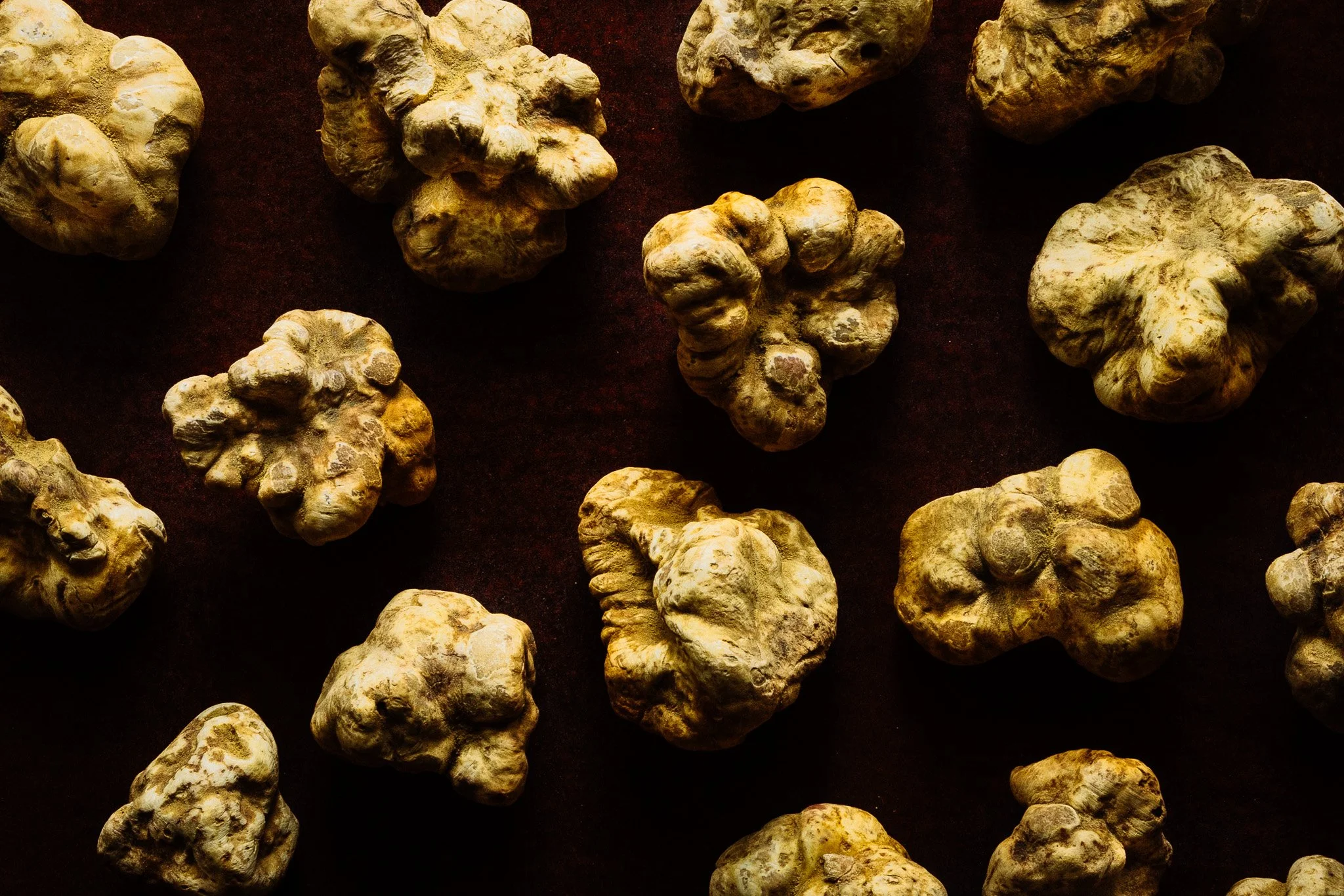 White truffle lifestyle photographed for UK luxury food brand Fine & Wild 