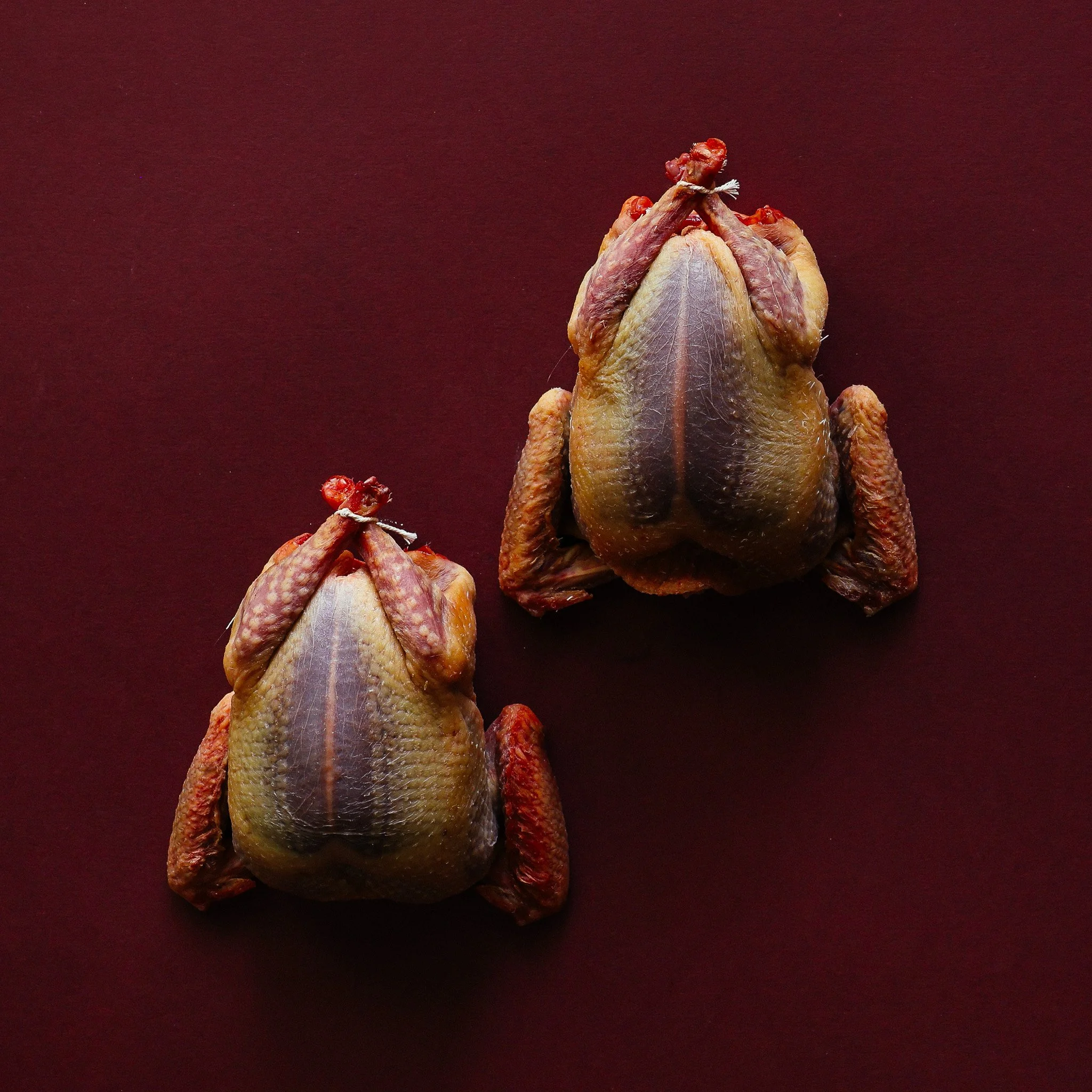 A brace of pigeon photographed for luxury food brand Fine & Wild 
