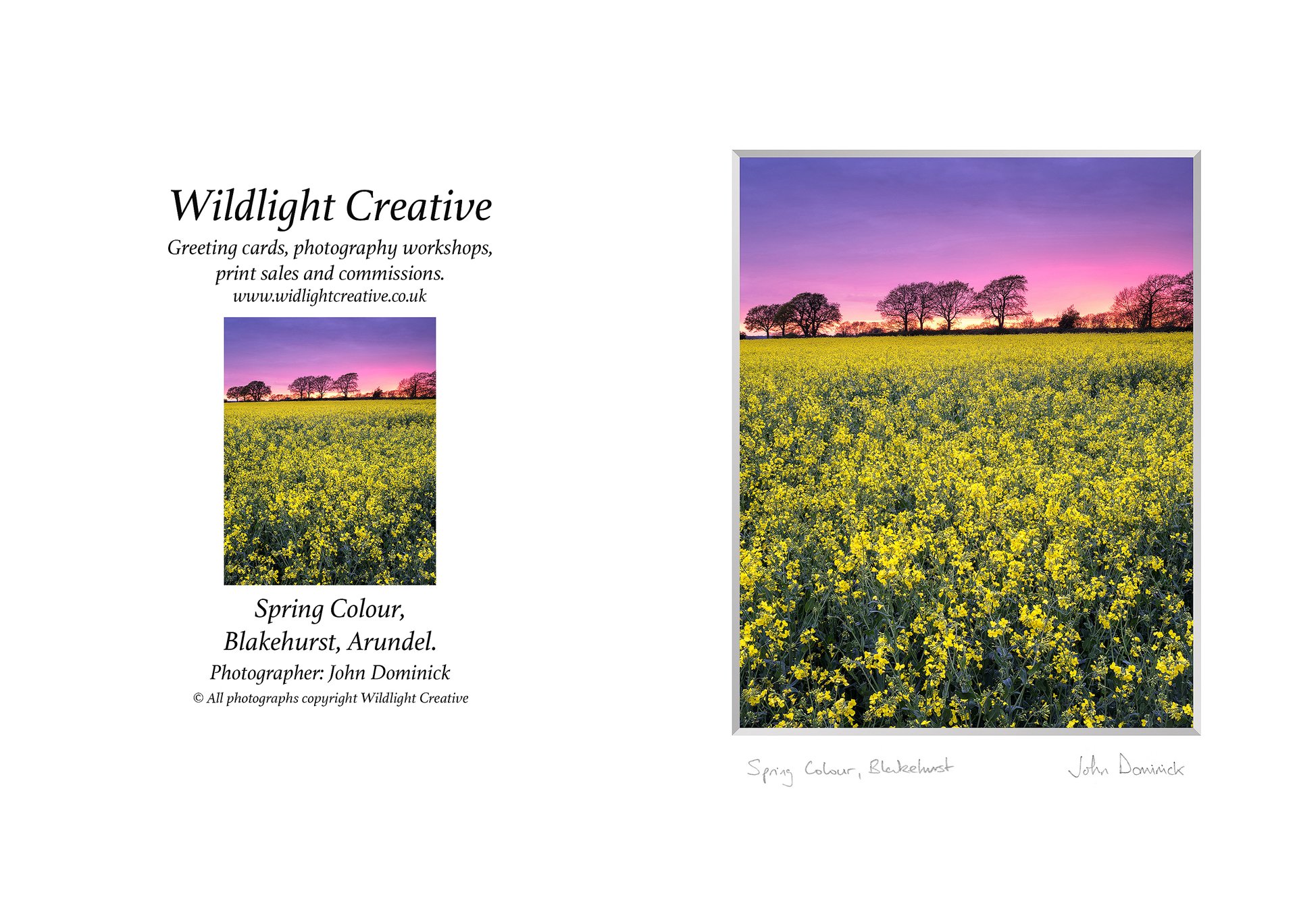Spring Colour, Blakehurst, Arundel