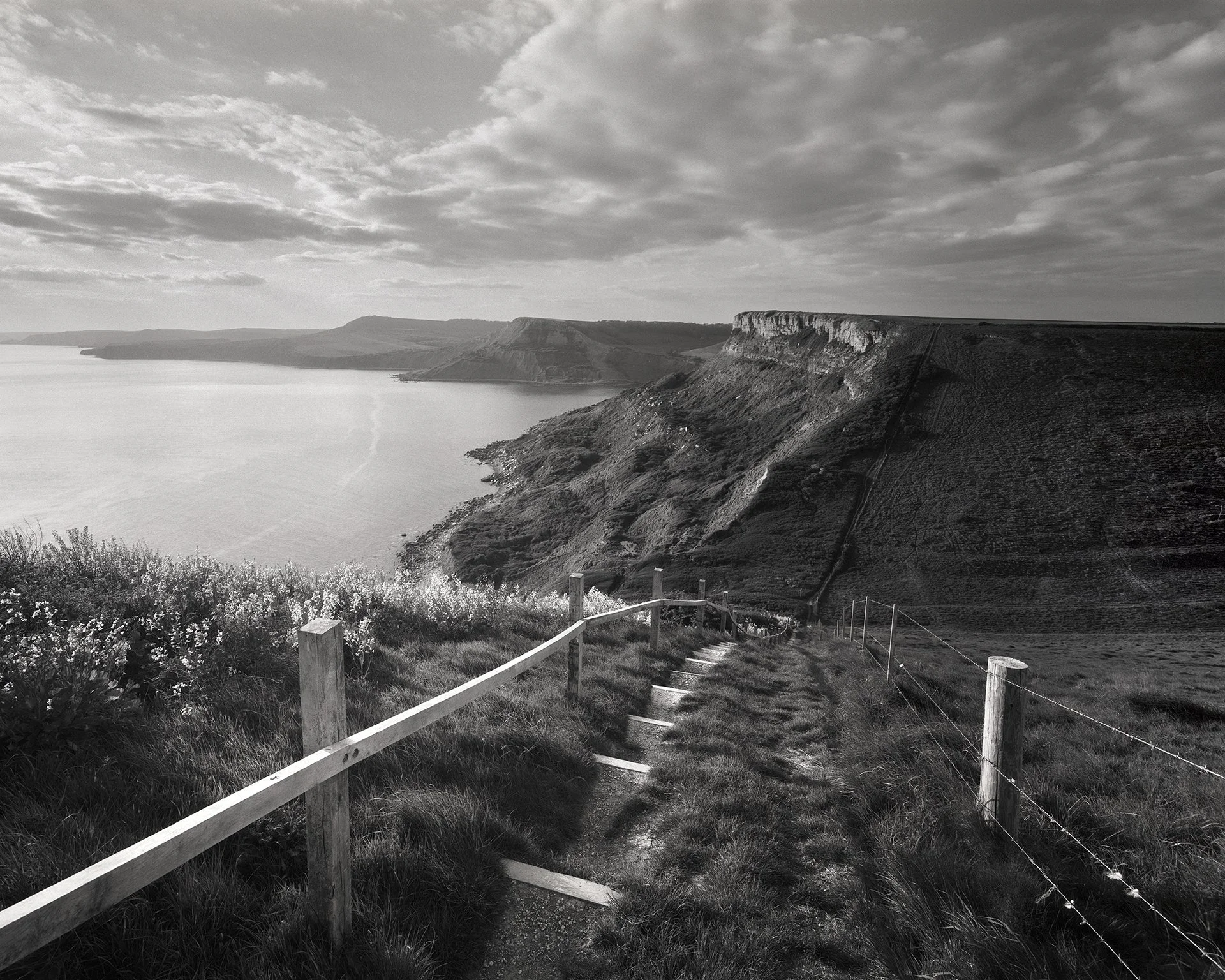 Untitled more contrast copy 2.jpg