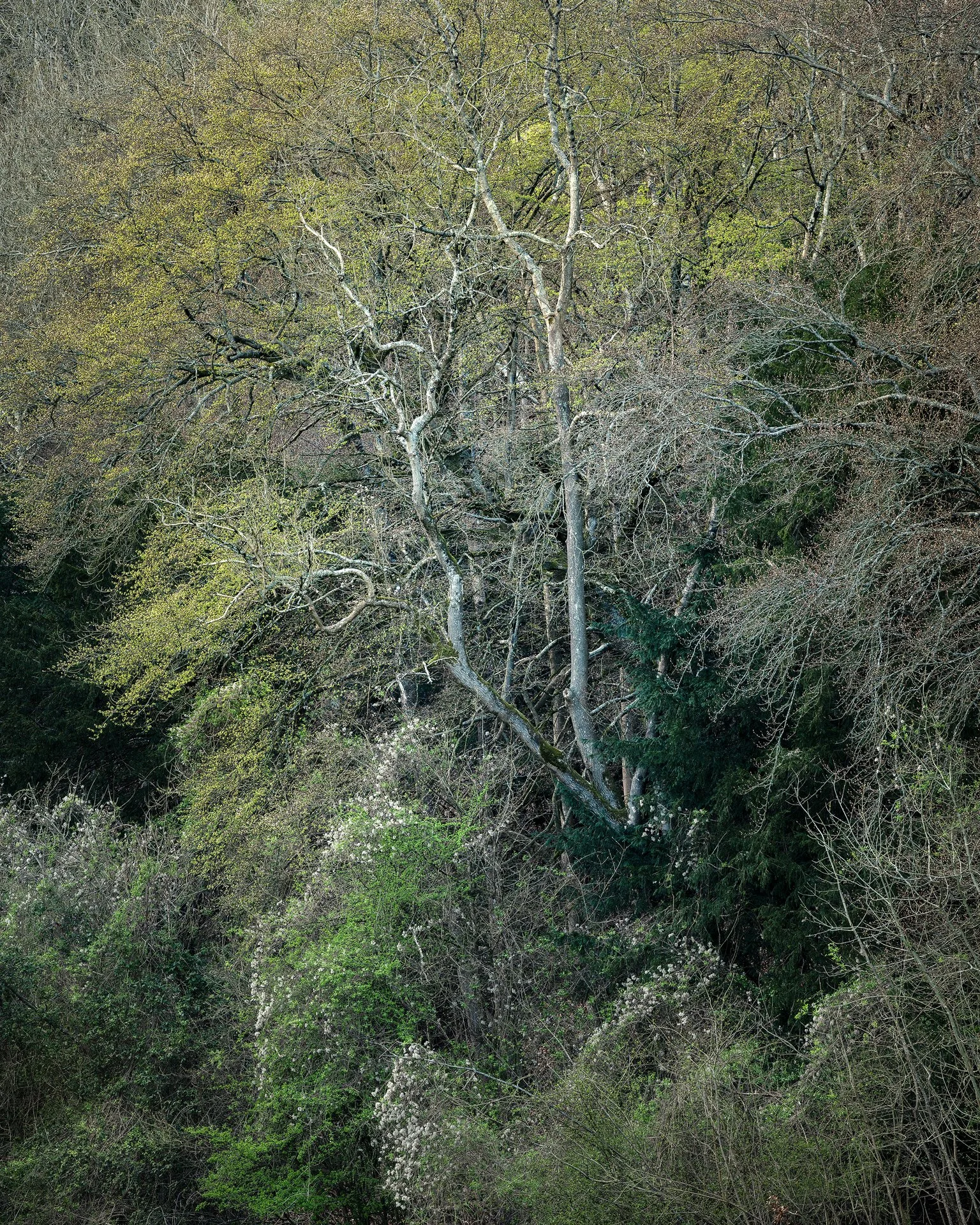 BLEND copy 3.jpg