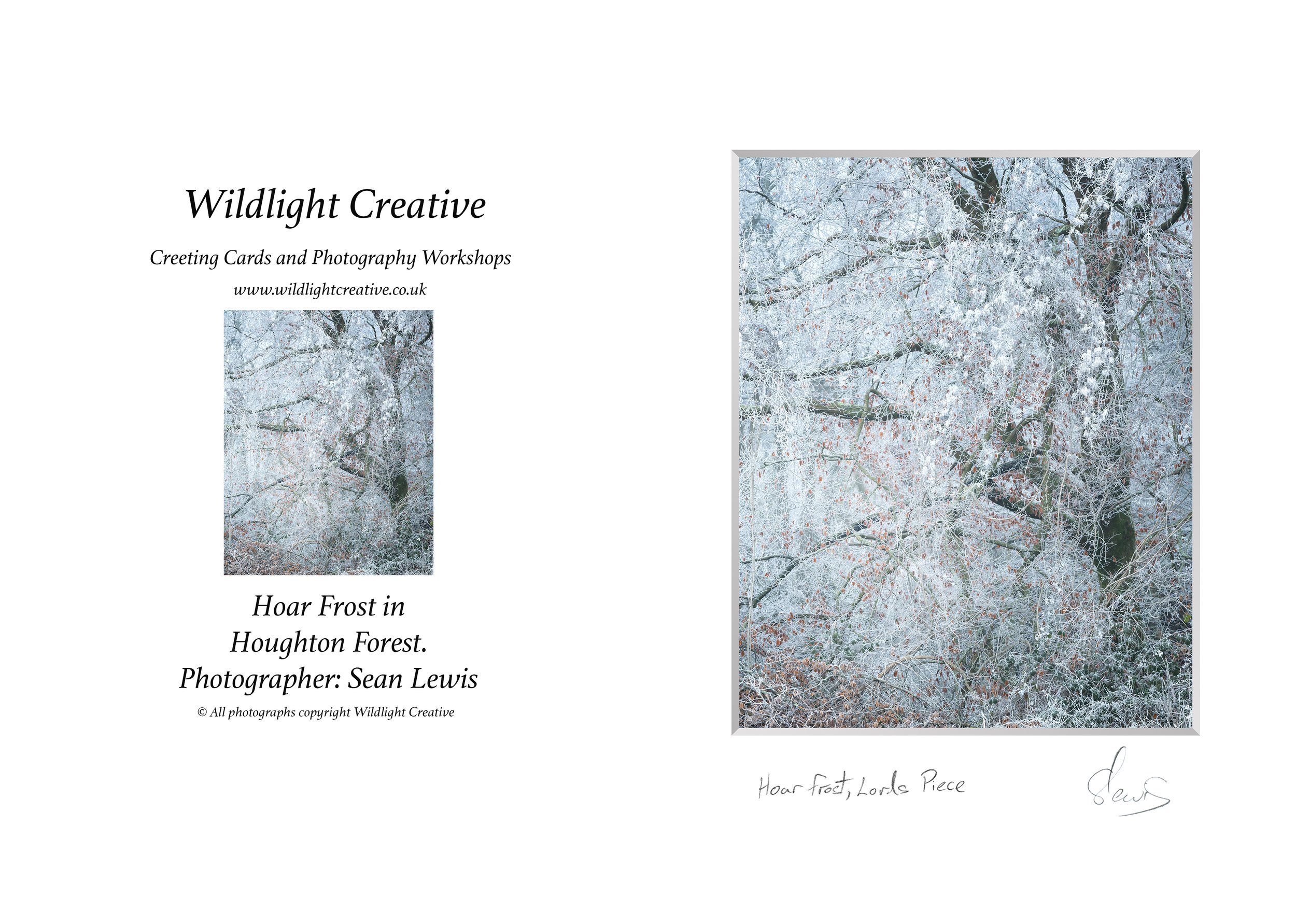 Hoar Frost in Houghton Forest