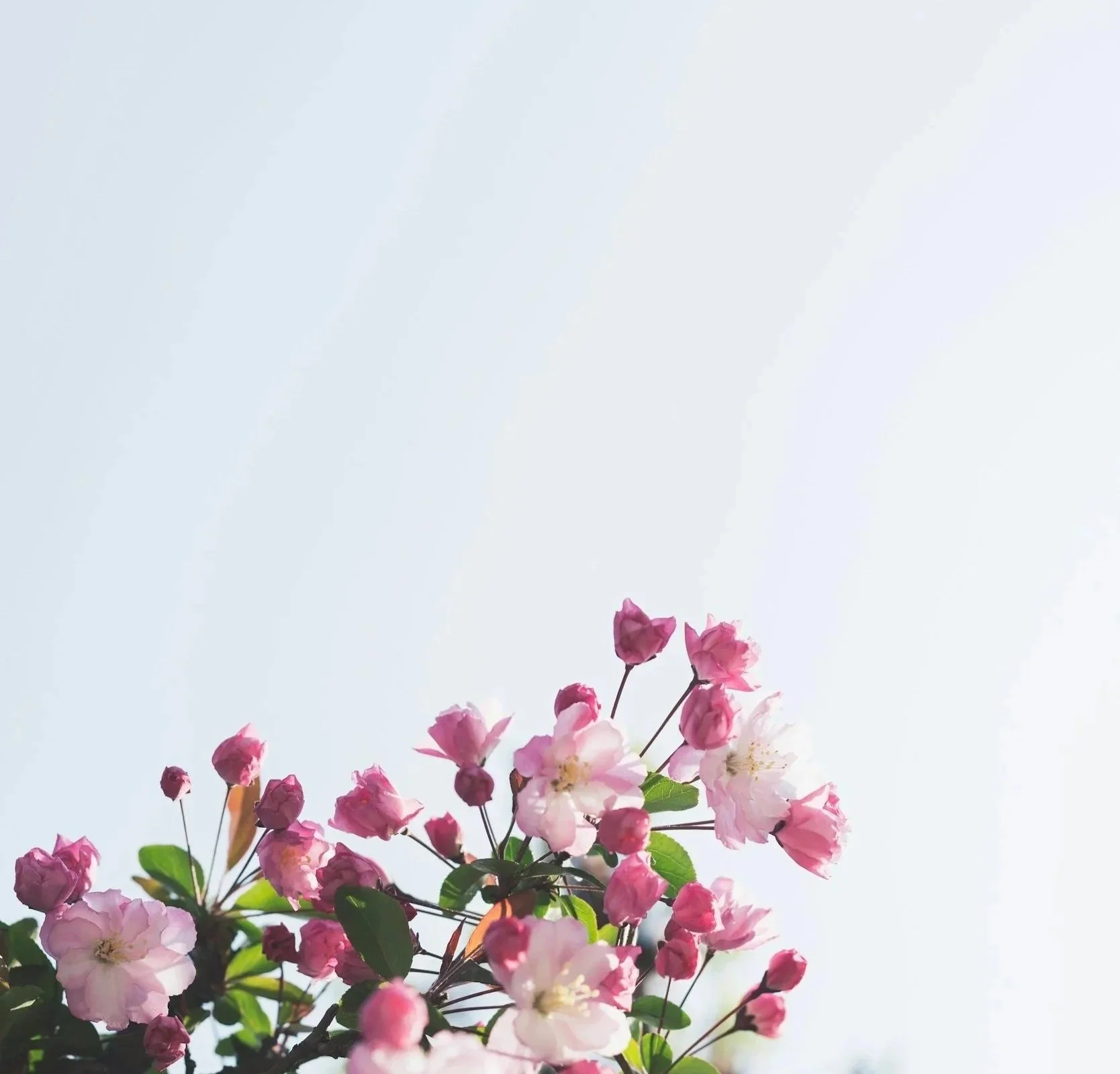 Proces in cilji psihoterapija