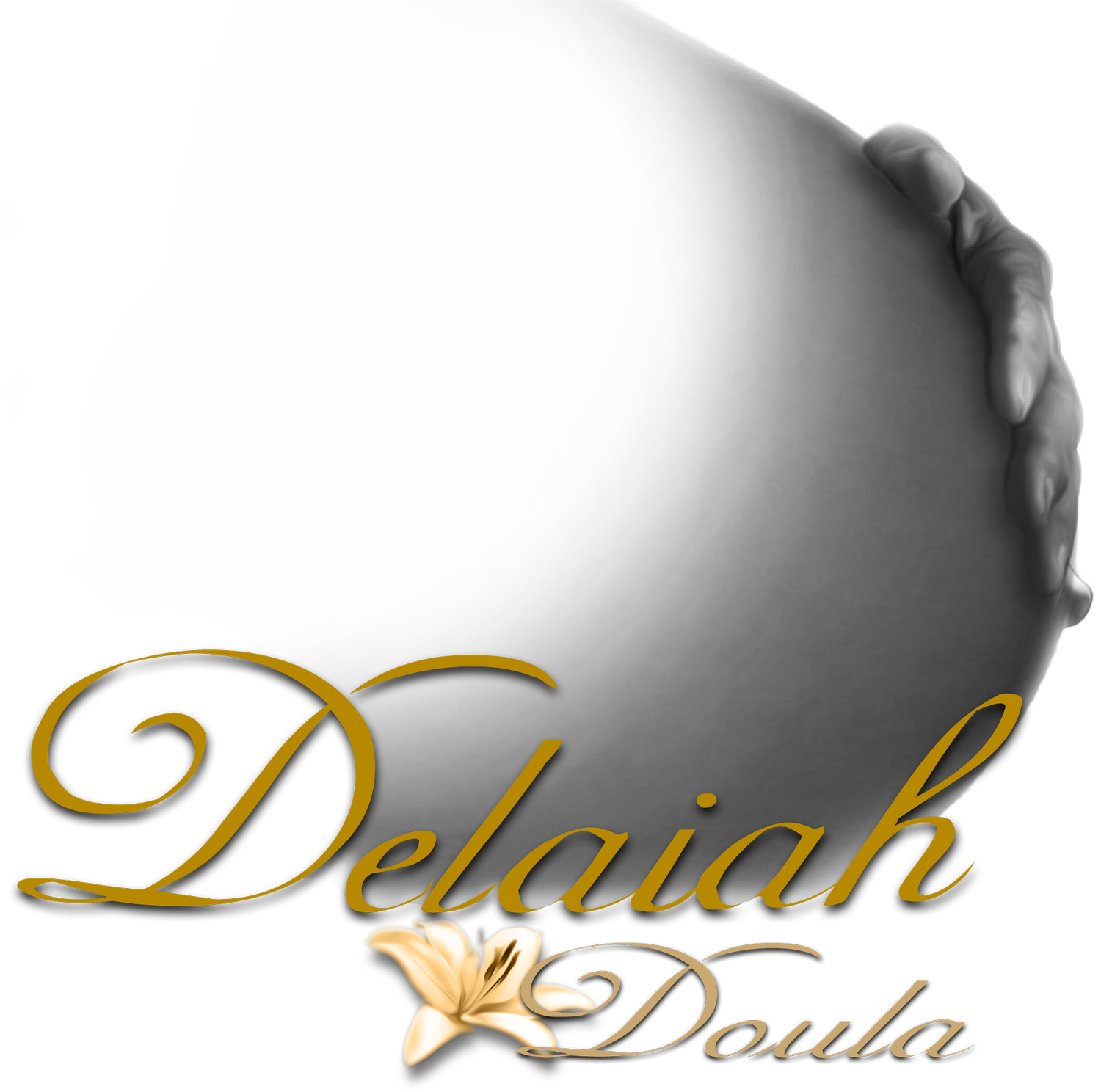 Delaiah Doula Consulting Ltd Co.