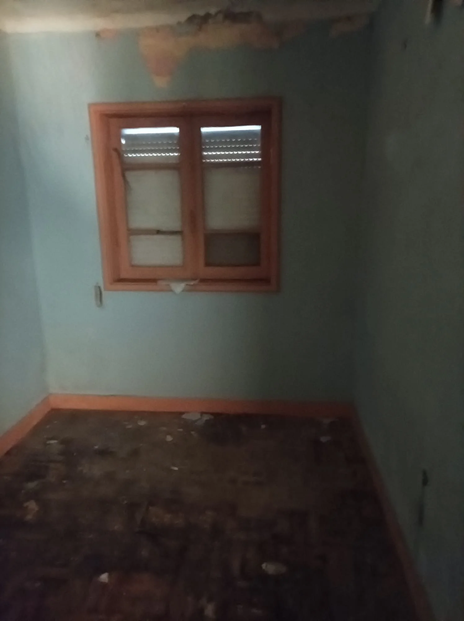 WhatsApp Image 2024-10-10 at 11.17.53 (3).jpeg