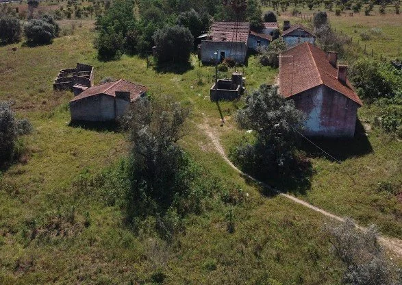 “O Mercado visto da Rua”: &nbsp;Análise de Viabilidade Prévia (Isso Existe?)