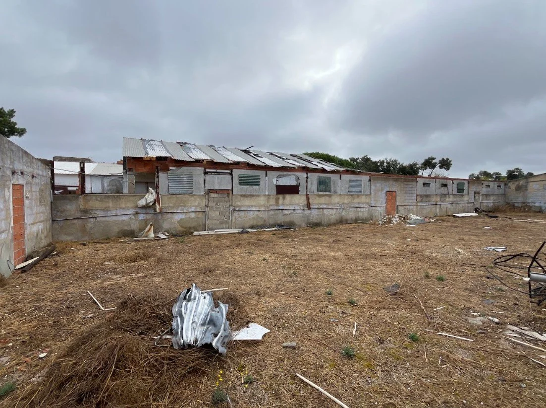  Why, How, What? - Laplace Real Estate Intelligence