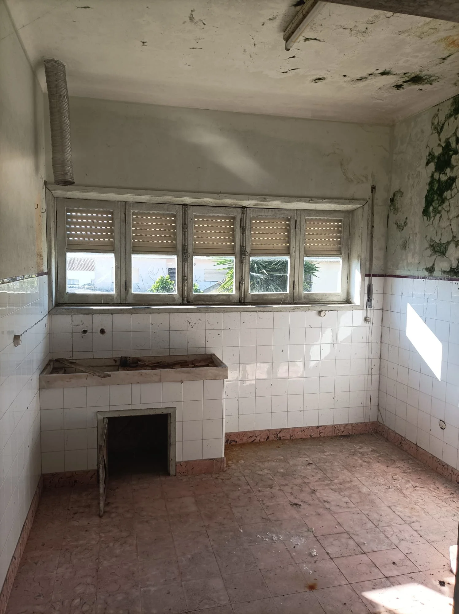 WhatsApp Image 2024-10-10 at 11.32.17 (2).jpeg