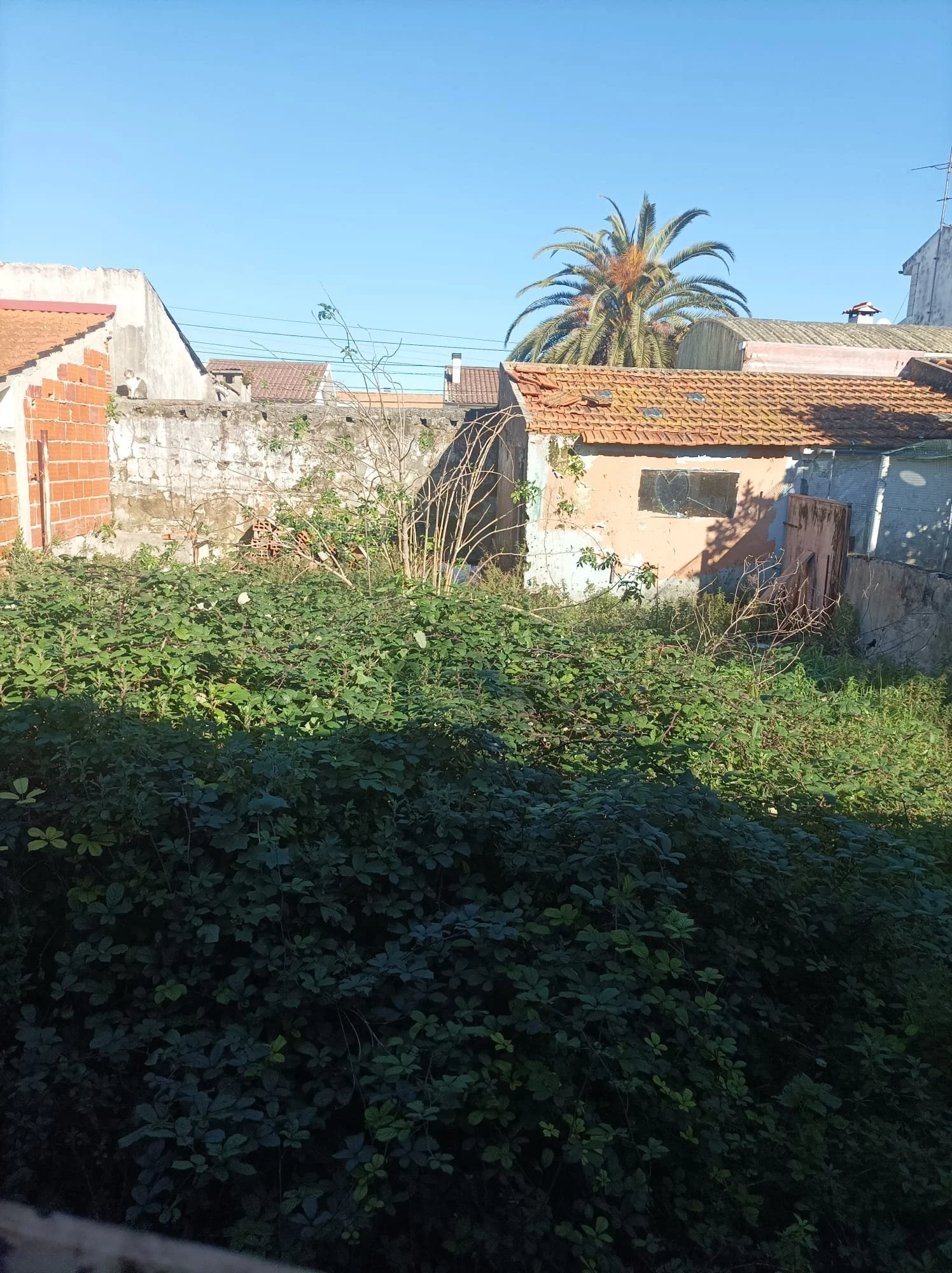 WhatsApp Image 2024-10-10 at 11.17.52.jpeg