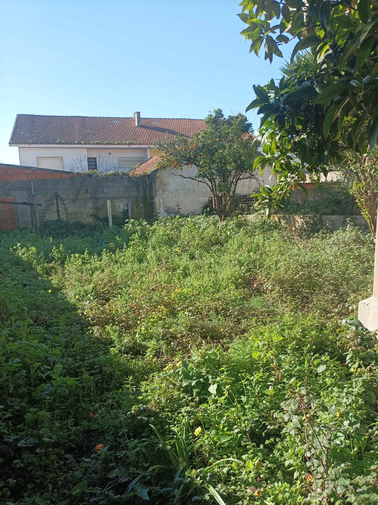 WhatsApp Image 2024-10-10 at 11.32.19.jpeg