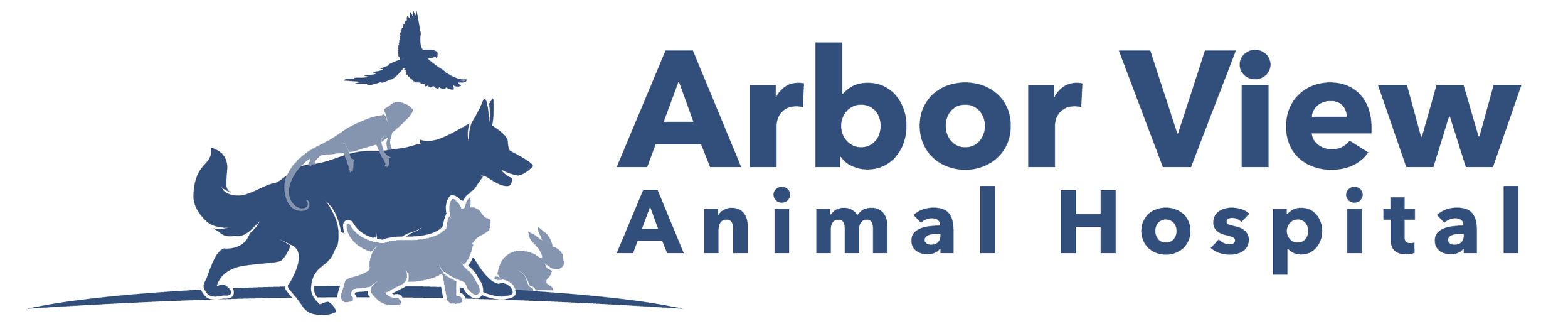 AV-Logo.png