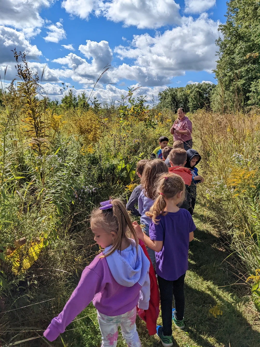 programs-field-station-cooperative-preschool