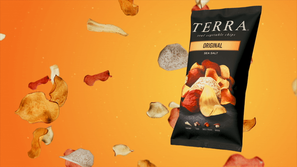TERRA