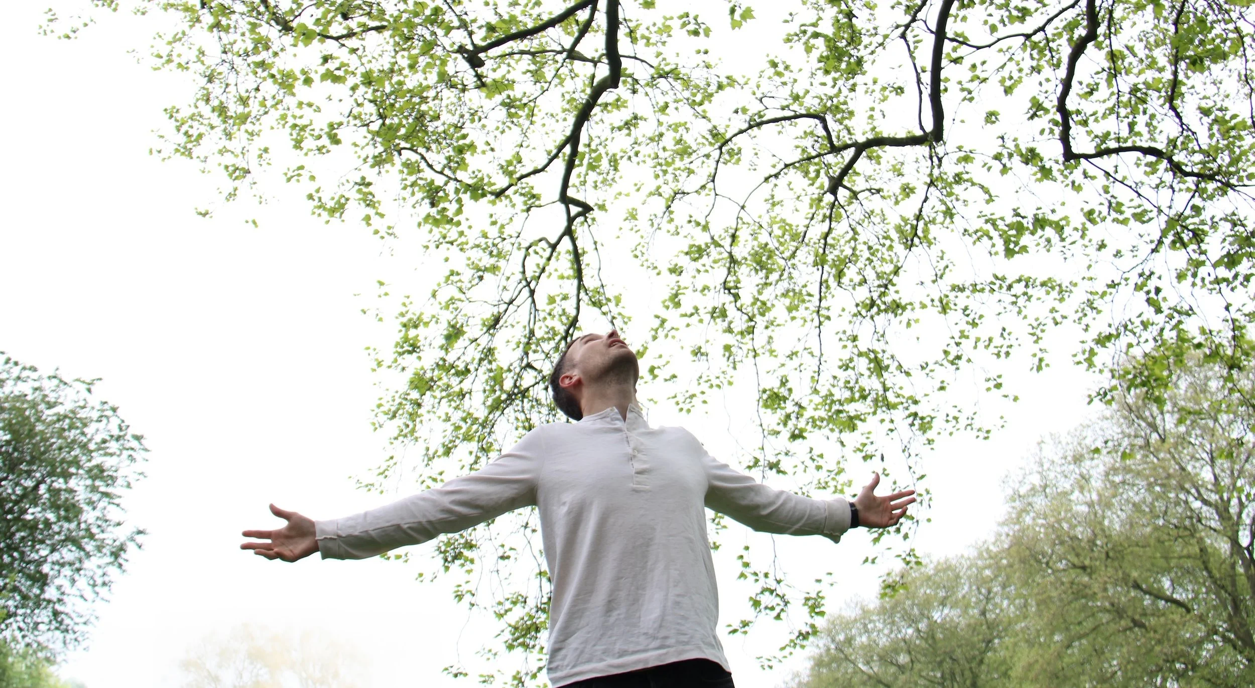 The Promise_key art copy.jpeg