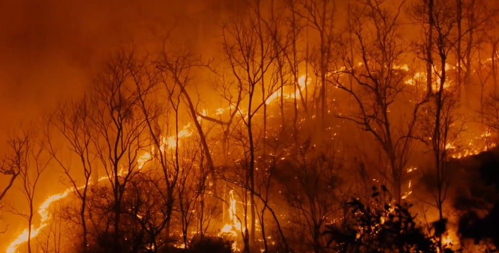 Capture d’écran 2026-01-13 165226.png