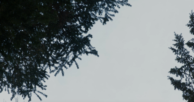 Screenshot 2023-05-13 at 15.25.47.png