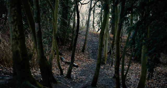 Screenshot 2023-05-13 at 15.30.19.png