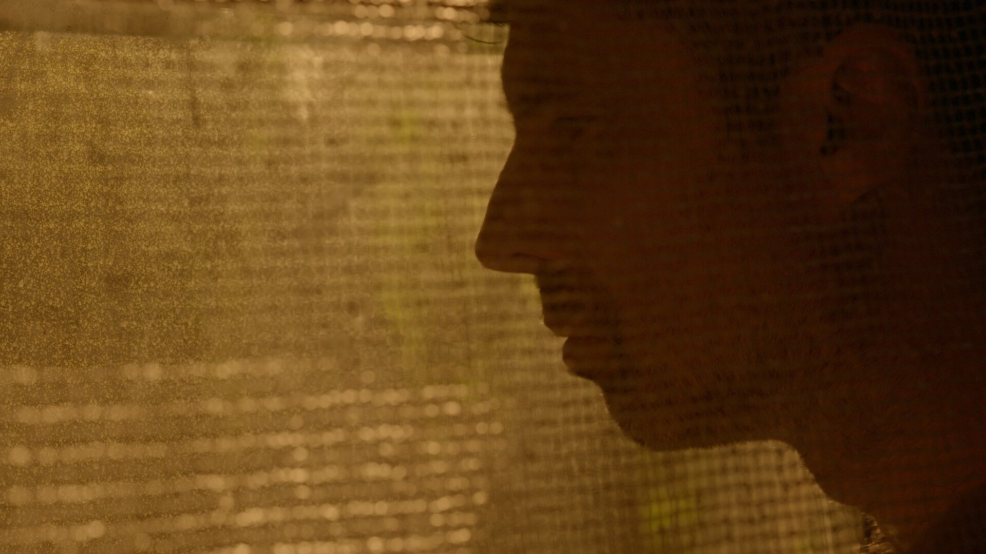 A person's profile silhouette in front of a golden, textured background.