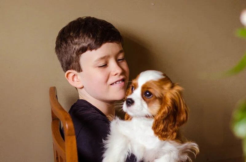 A young boy holding a small Cavalier King Charles Spaniel puppy.