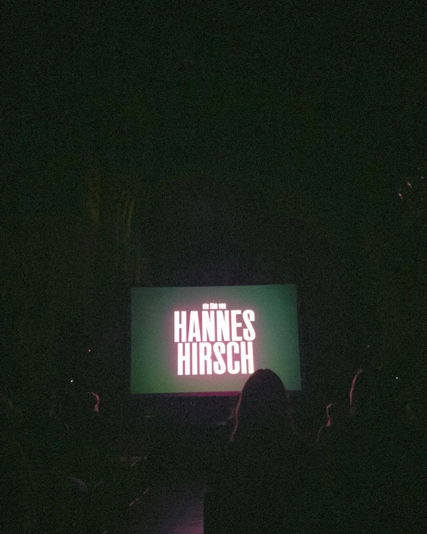 A dark theater showing the title card for the movie 'Hannes Hirsch' on the screen.
