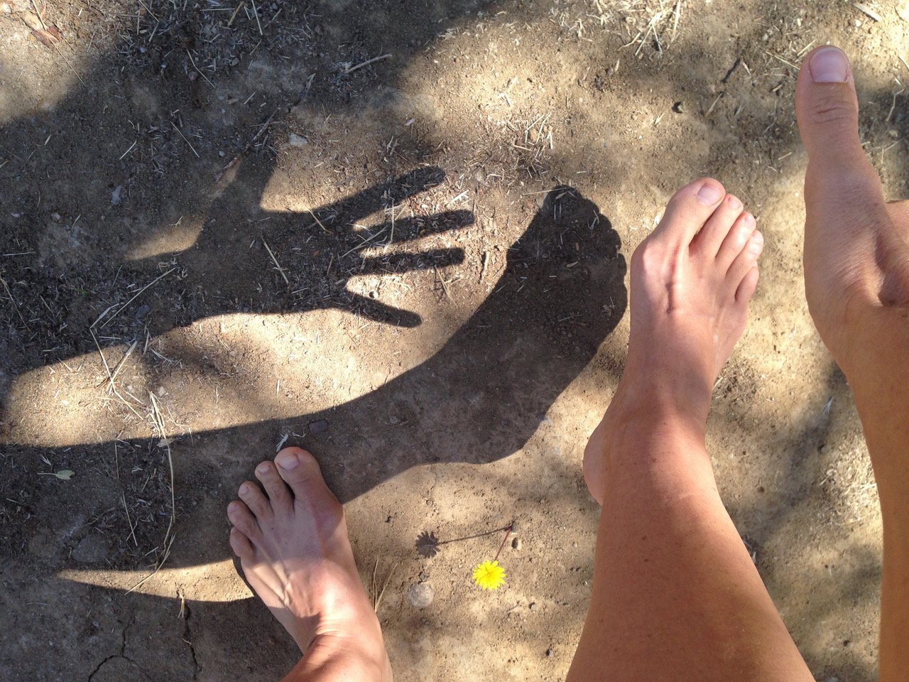 Dancing the Myths,5 days Biodanza Retreat