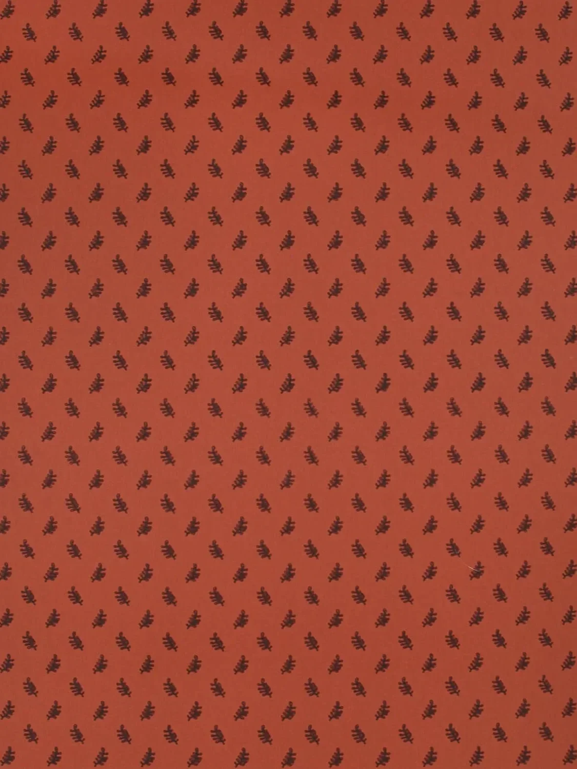 Trellis.webp