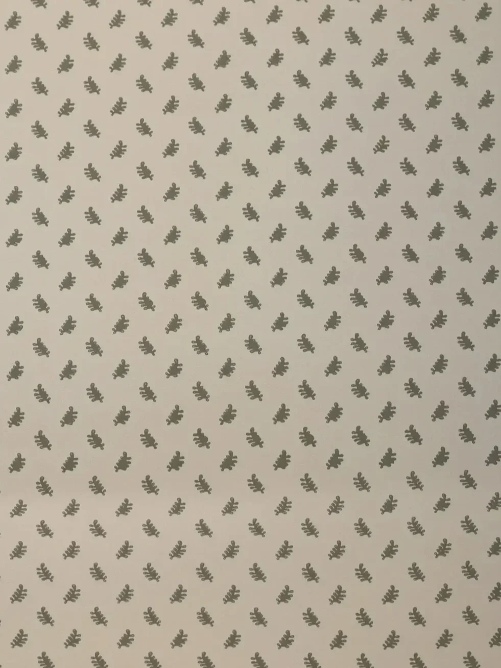 lime-wash.webp