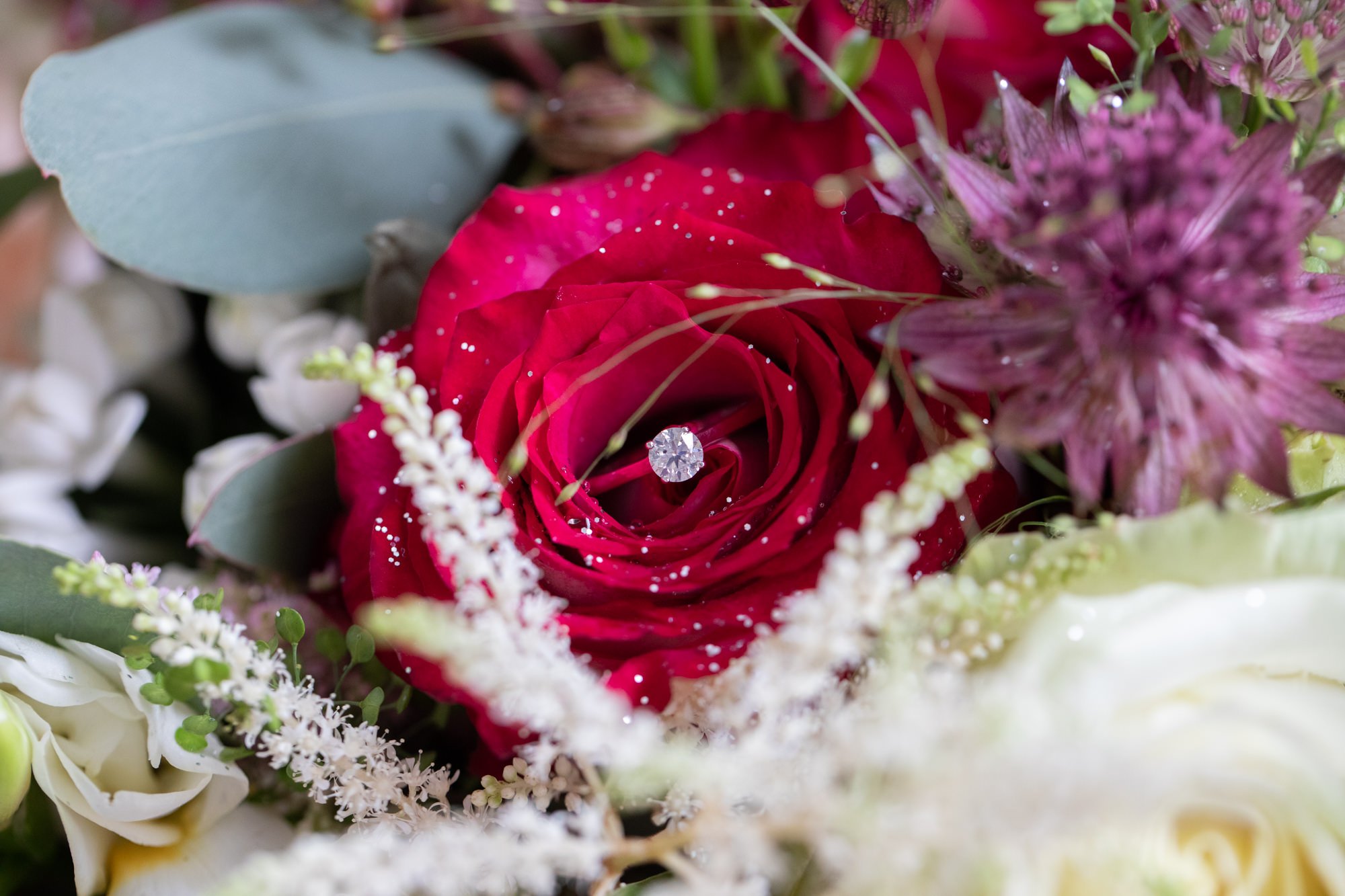 Flowers Engagement Ring Wedding Photographer Northern Ireland Shea Deighan-1011.jpg