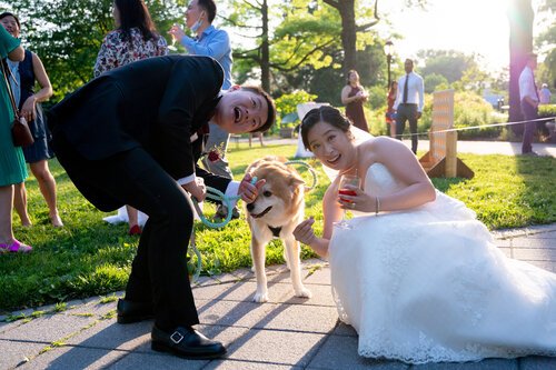 Yard+Game+Rentals+Upstate+Jamboree+at+Queens+Botanical+Garden+Wedding+Albert+Cheung+Photography+26.jpg