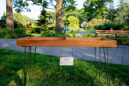 Yard+Game+Rentals+Upstate+Jamboree+at+Queens+Botanical+Garden+Wedding+Albert+Cheung+Photography+41.jpg