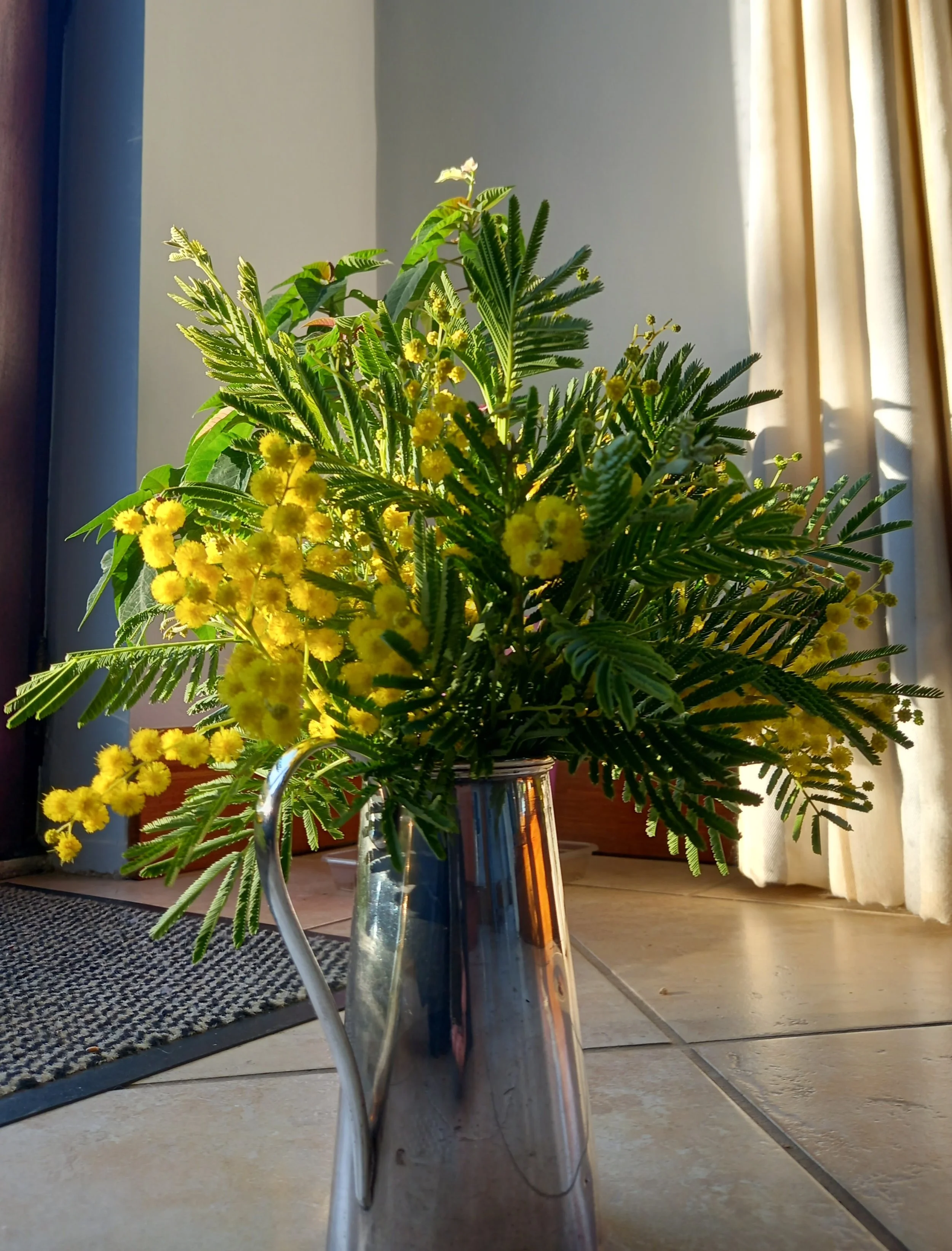 Mimosa bouquet